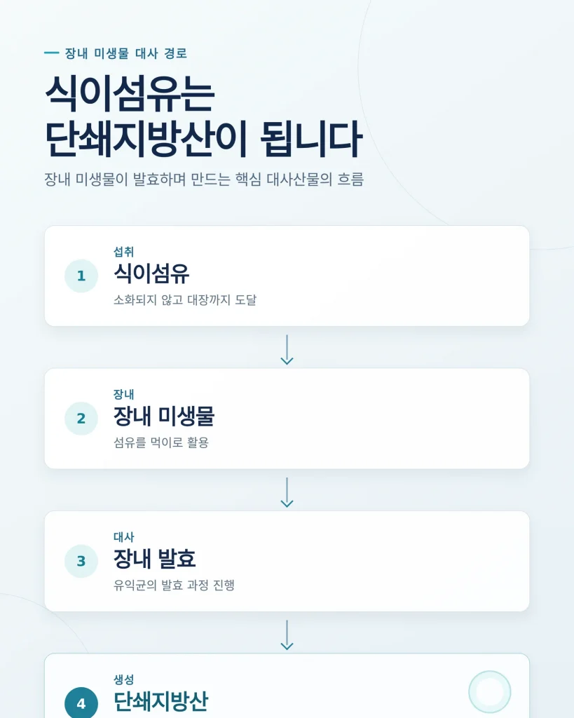 낙산균 복용법 관련 참고 이미지