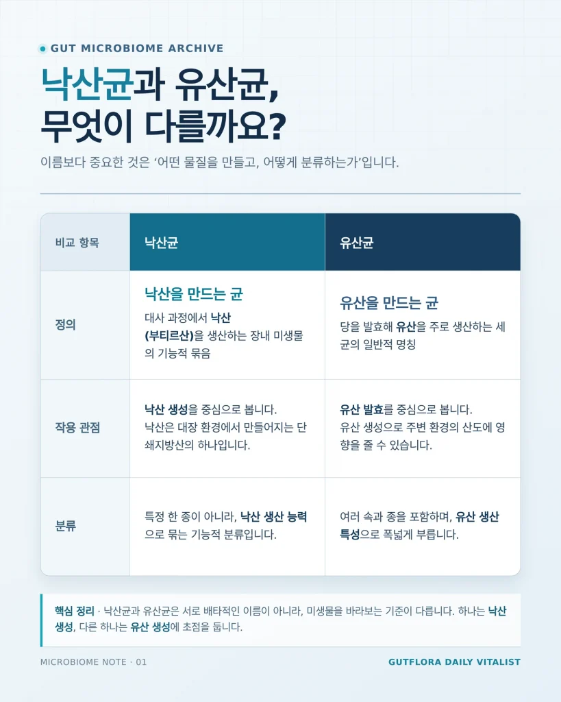 낙산균 유산균 차이 관련 참고 이미지